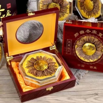 宝林堂 那曲冬虫夏草礼盒装 西藏虫草干虫草礼盒装 冬虫夏草批发图4