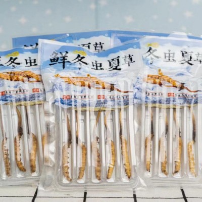 新鲜虫草2023年当季头期新鲜冬虫夏草高海拔青海西宁虫草产地批发图3