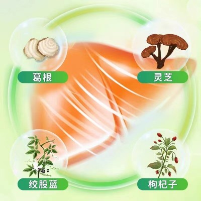 芙顺堂葛根灵芝片辅助保护肝损喝酒熬夜伤肝养肝护肝福建李时珍图4