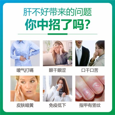 护肝养肝灵芝葛根胶囊蓝帽护肝胶囊熬夜养肝茶葛根片轻姿享现货图4