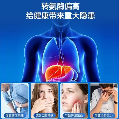 北京同仁堂 赛维牌水飞蓟磷脂片 口苦臭熬夜喝酒养护肝调 节血脂图2