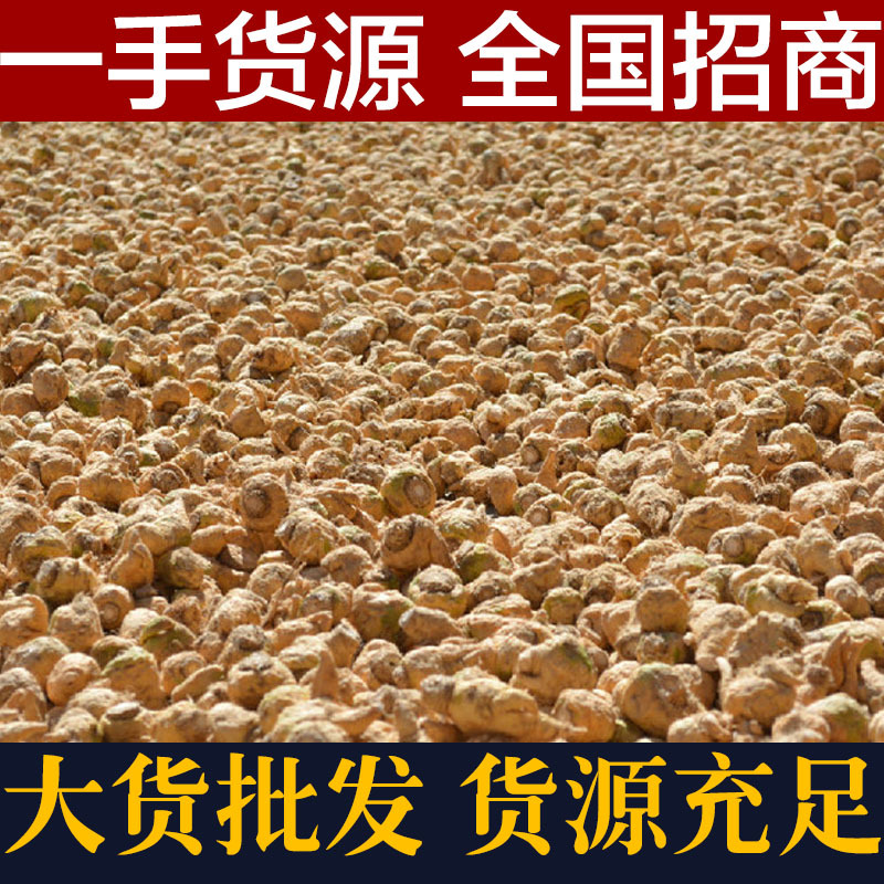 黄玛咖1