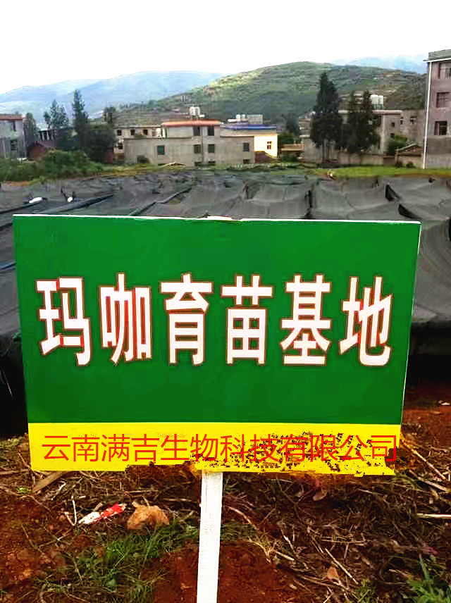 基地1