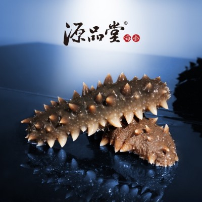 辰润海产品工厂直供现货代发长岛即食海参 开袋即食鲜活生鲜水产图1