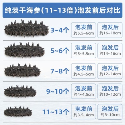 大连特产纯淡干海参干货批发海鲜水产辽刺参散装家用礼盒装可商用图3