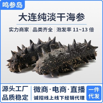 大连纯淡干海参干货批发深海底播辽刺参散装海鲜水产干货礼盒商用图5