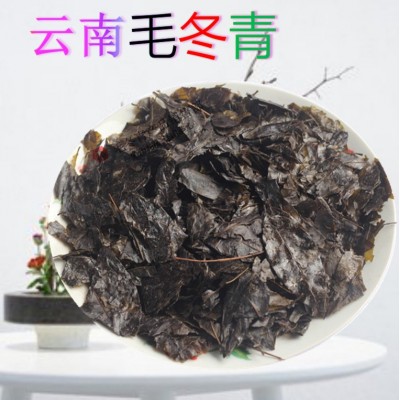 江湖地摊云南大叶毛冬青苦丁茶老叶毛冬青苦甘叶青山绿水图3