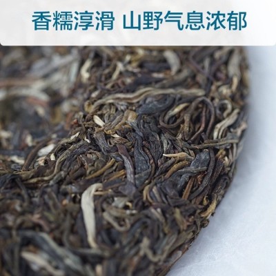 批发 云南茶叶普洱茶生茶饼 2020年临沧产区勐库老树茶冰岛100克图4