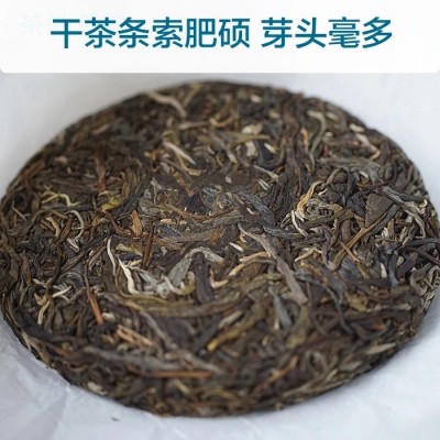 批发 云南茶叶普洱茶生茶饼 2020年临沧产区勐库老树茶冰岛100克图2