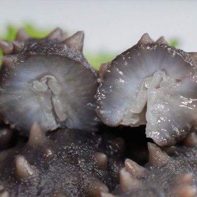 鲜食海参鲜活加工高温煮制肉质肥厚饱满结实源头厂家质量保障批发图2