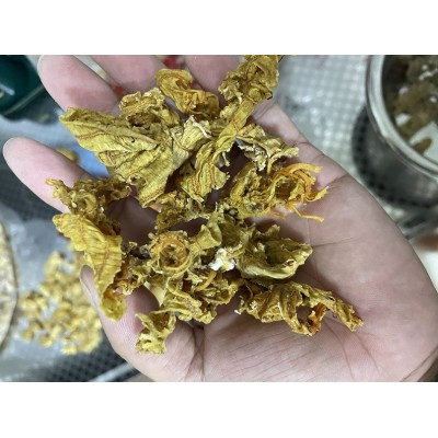 海参筋（珊瑚蚌）图3