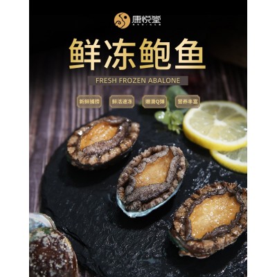 晓龙厂家批发大连活冻即食鲍鱼 海捕新鲜海鲜佛跳墙食材图2