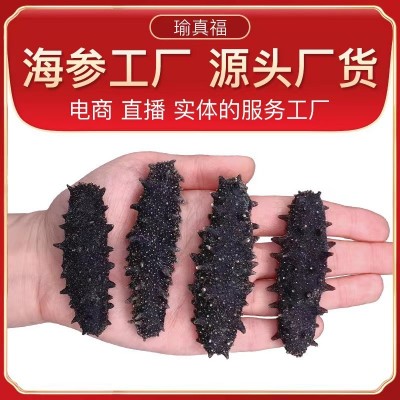 瑜真福大连淡干海参礼盒装辽参刺参速发泡发海参批发代发图3