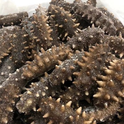 明尊9A级大连即食海参500g刺参鲜蒸即食海参 厂家批发 顺丰发货图3