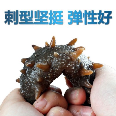 大连A级淡干海参500g厂家批发非即食海参海参干货海参礼盒装图2