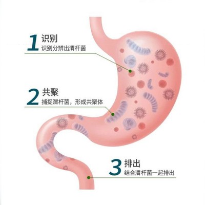 【消酸胃疏丸】幽门杆菌片益生菌甘草鸡内金压片糖果图2