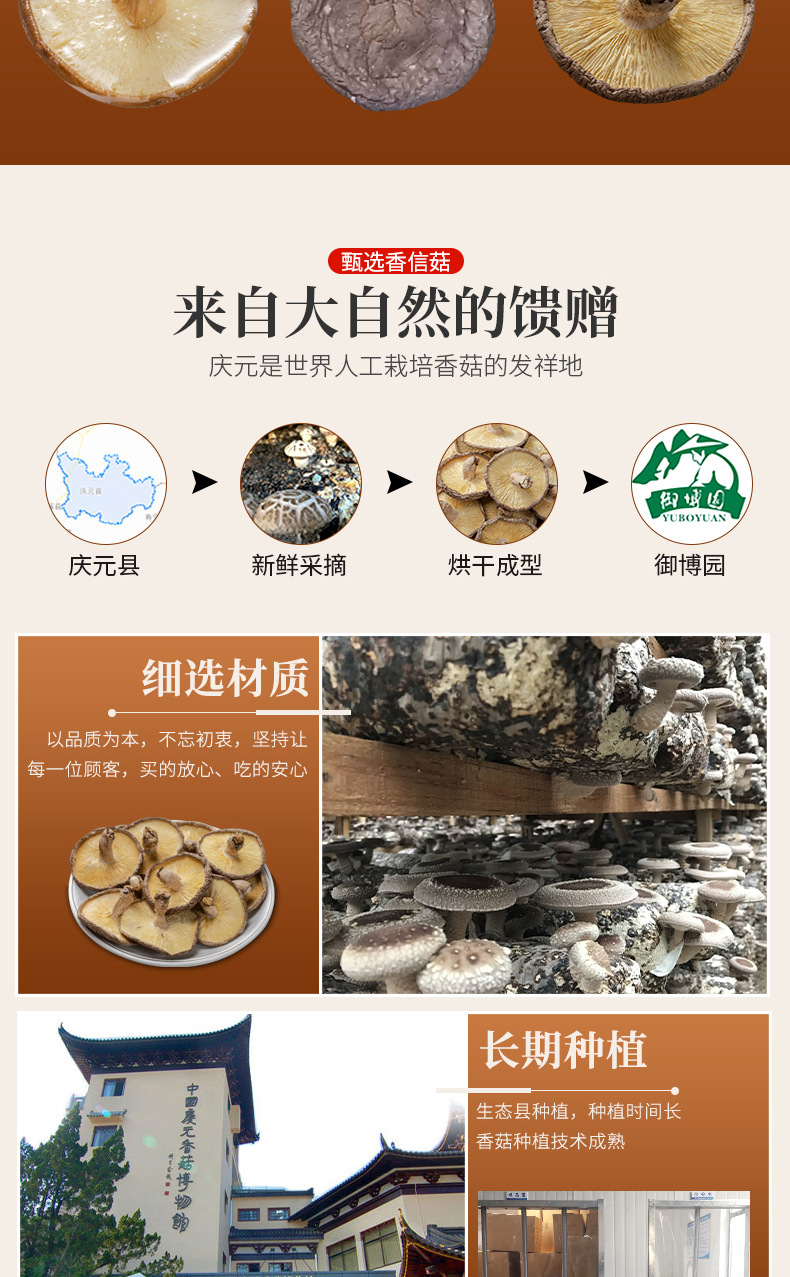 香信菇详情（批发）_03