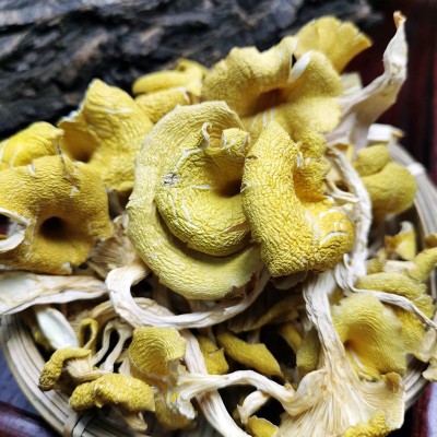东北原产地黄金菇榆黄菇菌菇包汤料包干货厂家批发 鸡油菌可代发图2