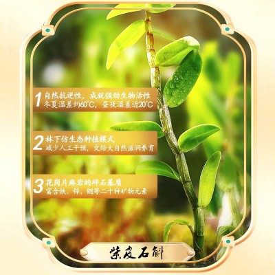 紫皮石斛原浆霍山石斛原浆饮源头厂家霍山紫皮石斛原浆现一 件代发图3