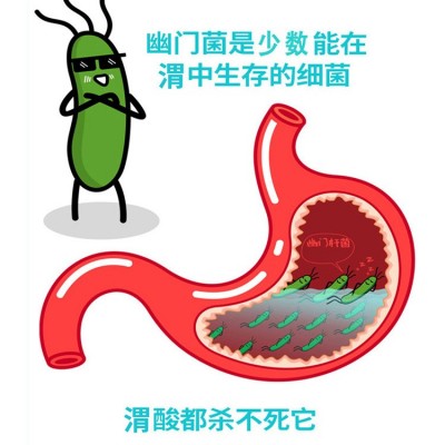 正品益生菌批发冻干粉活菌 成人复合肠道瘦子活性益生元固体饮料图3