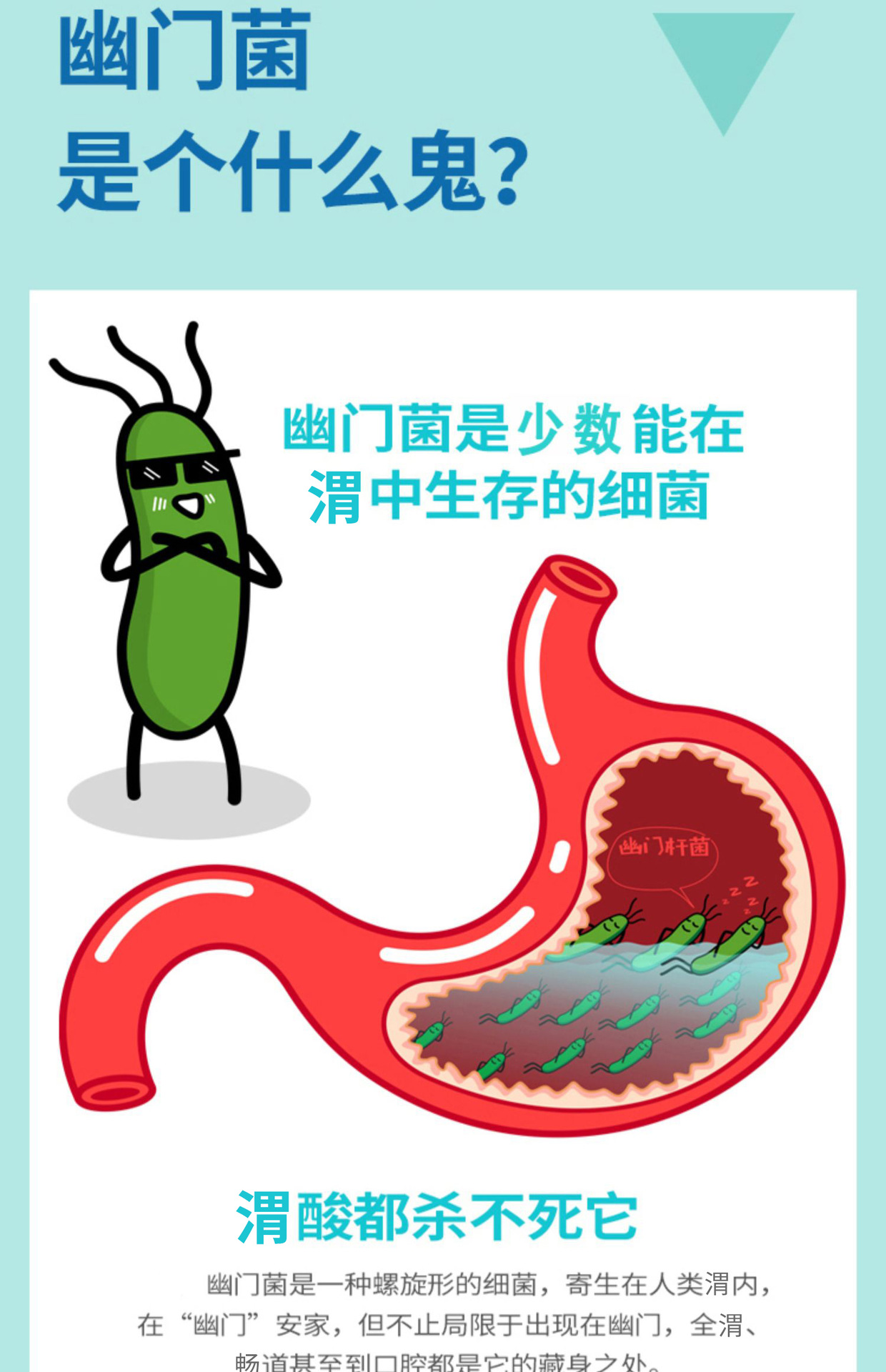 图片_10 拷贝.jpg