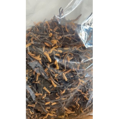 断虫草冬虫夏草四川虫草冬虫草野生虫草非西藏那曲断草泡酒泡茶图2