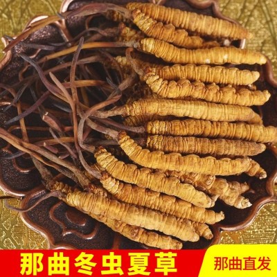 西藏那曲冬虫夏草4根1g 高海拔干虫草正品非人工草礼盒装特产批发图2