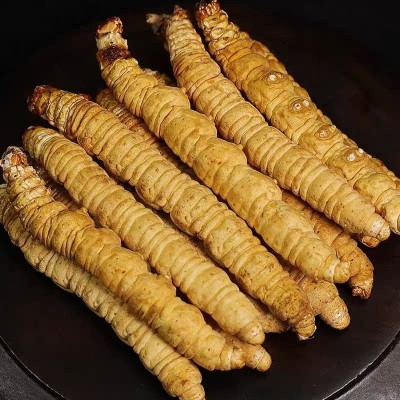 西藏那曲冬虫夏草 纯肉节断草全肉虫草高海拔足干货 支持代发批发图3