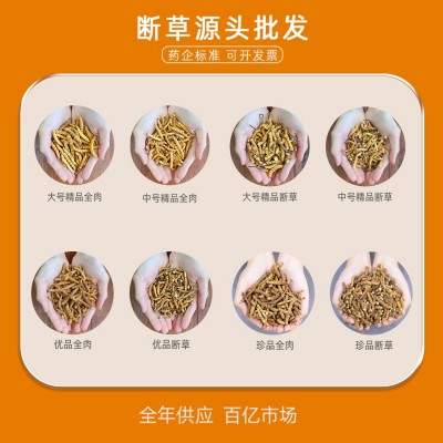 冬虫夏草 虫草 冬虫草 冻干虫草 断草断虫草大量批发一手足干新货图3