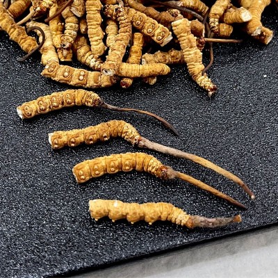 冬虫夏草冻干草精品断虫草批发规格资质齐全诚招代理图5