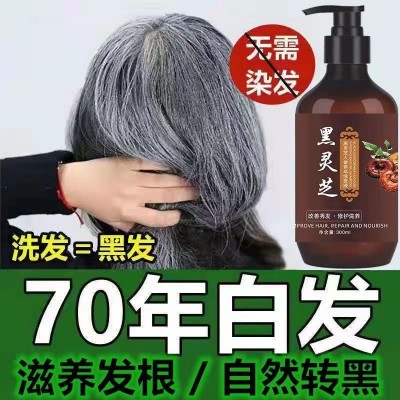 源头厂家黑灵芝何首乌人参洗发水植物萃取精华白发转黑草本洗发膏图3