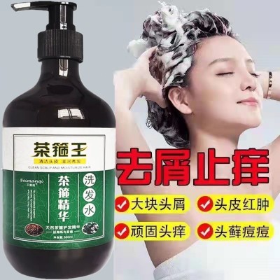茶麸洗发水清爽控油舒缓去屑止痒洗发膏柔顺改善发根茶箍养发护发图3