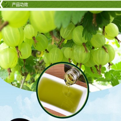 印度ECO壹丝奥原装进口ALMA醋栗油HAIR植物养发精油OIL护发亮光图2