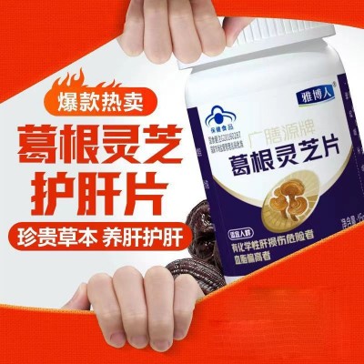 雅博人葛根灵芝片护肝片养肝胶囊男女葛根灵芝片熬夜饮酒高血脂片图2
