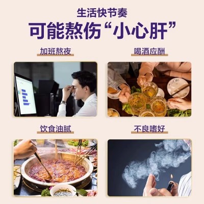 雅博人葛根灵芝片护肝片养肝胶囊男女葛根灵芝片熬夜饮酒高血脂片图3