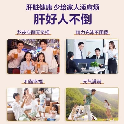 雅博人葛根灵芝片护肝片养肝胶囊男女葛根灵芝片熬夜饮酒高血脂片图4