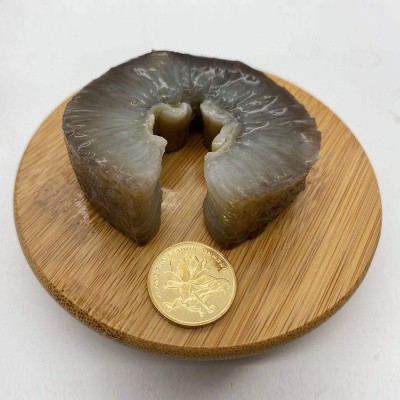 海参工厂大连即食海参鲜食海参辽参海参批发一件代发辽刺参非干货图2