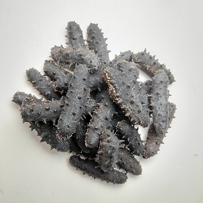 海参工厂批发大连特产大连海参50g淡干海参海参干货一件代发海参图4