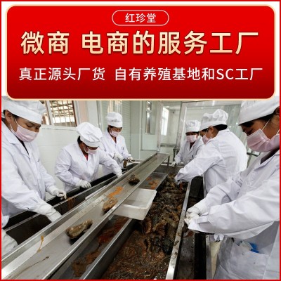 大连纯淡干海参干货批发大连特产非礼盒干制辽参水产大连海参图4