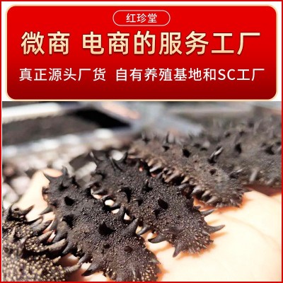 大连纯淡干海参干货批发大连特产非礼盒干制辽参水产大连海参图3