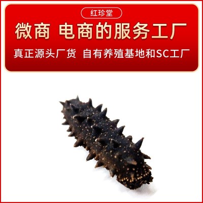 大连特产干制辽刺参大连淡干海参干货50g水产干货批发大连海参图5