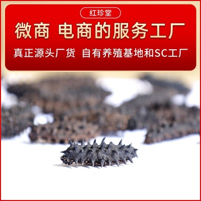 大连特产干制辽刺参大连淡干海参干货50g水产干货批发大连海参图4