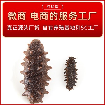 大连特产干制辽刺参大连淡干海参干货50g水产干货批发大连海参图3