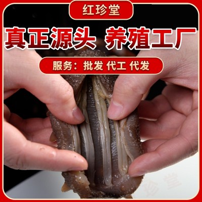 大连特产即食辽参礼盒大连海参批发海产品Q弹口感即食海参礼盒图3