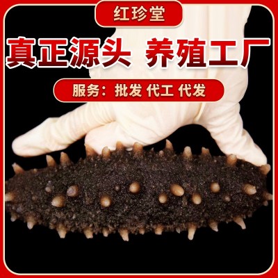 大连特产即食辽参礼盒大连海参批发海产品Q弹口感即食海参礼盒图2