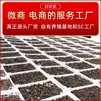 大连特产海参批发水产干货非海参礼盒500g大连淡干海参干货辽参图4