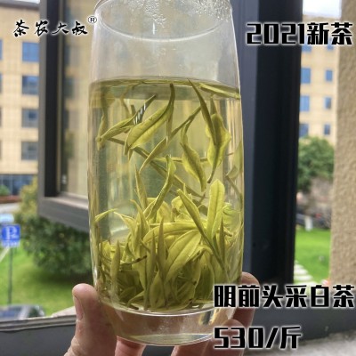 绿茶春茶2023新茶 毛峰白茶凤型白茶 货源厂家批发散茶浙江湖州图2