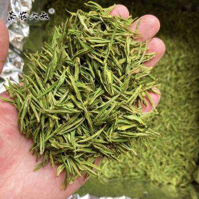 绿茶春茶2023新茶 毛峰白茶凤型白茶 货源厂家批发散茶浙江湖州图4