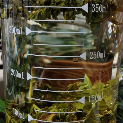 2023新茶日式白桃乌龙茶蜜桃乌龙台湾乌龙茶高山冷泡茶奶茶店原料图3