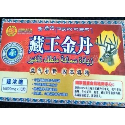 藏王金丹图3